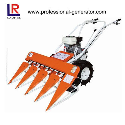 800-3 Compacte wielladers met wielbasis, bandenmaat 17.5-20.5R25 en een bakinhoud van 1,0-2,5 m³